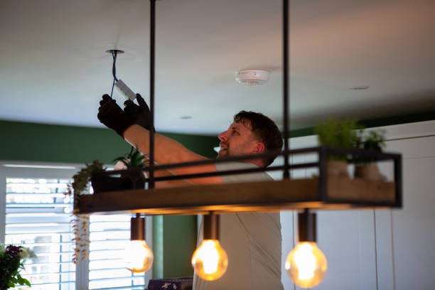Best Residential Electrician Services  in Lambertville, MI