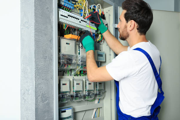 Best Affordable Electrician  in Lambertville, MI